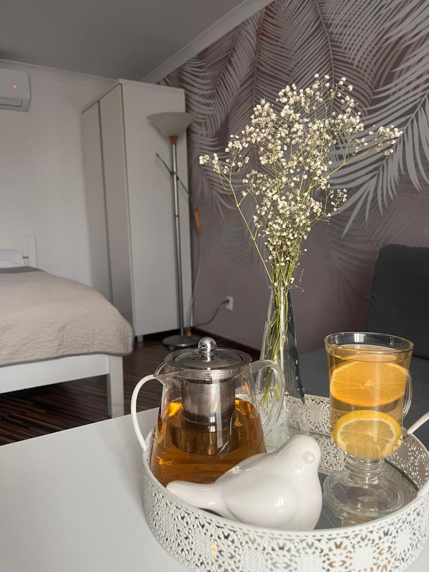 Apartament Na Starowce VII Pszczyna Dış mekan fotoğraf